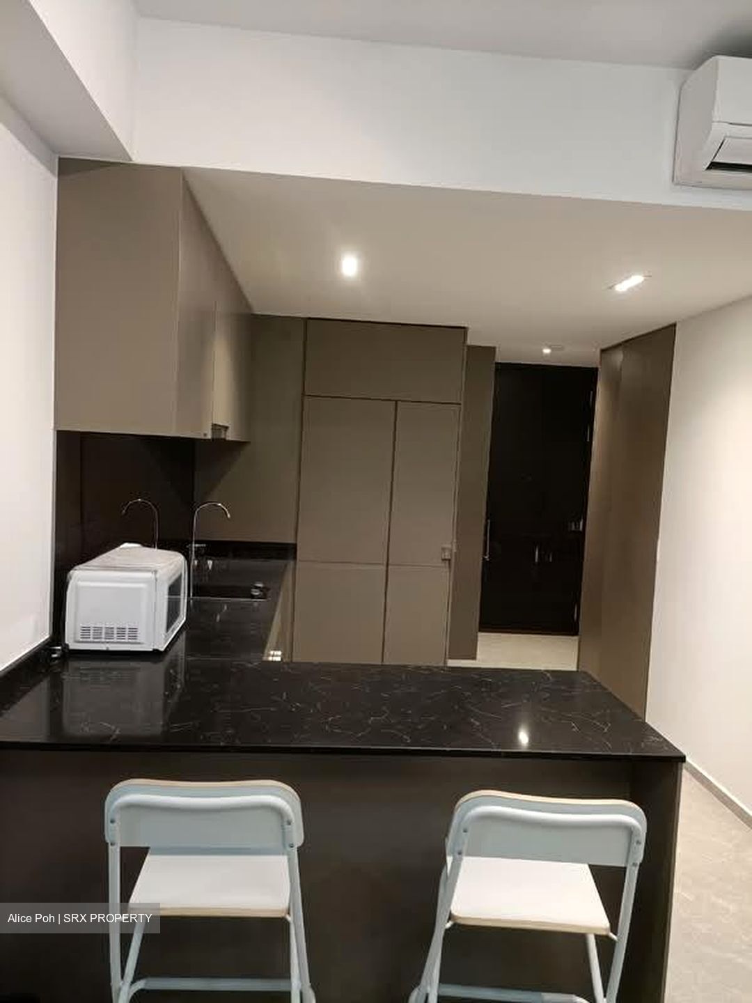 Park Colonial (D13), Condominium #540886461